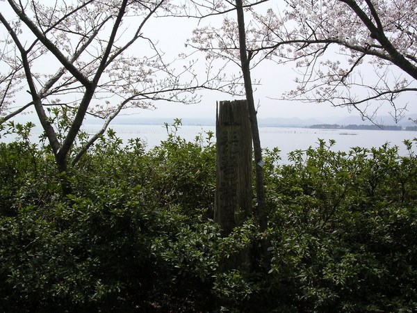 琵琶湖が一望